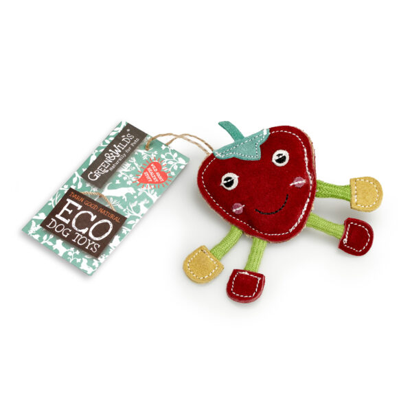 steve the strawberry eco-friendly green & Wilds cat and dog toy