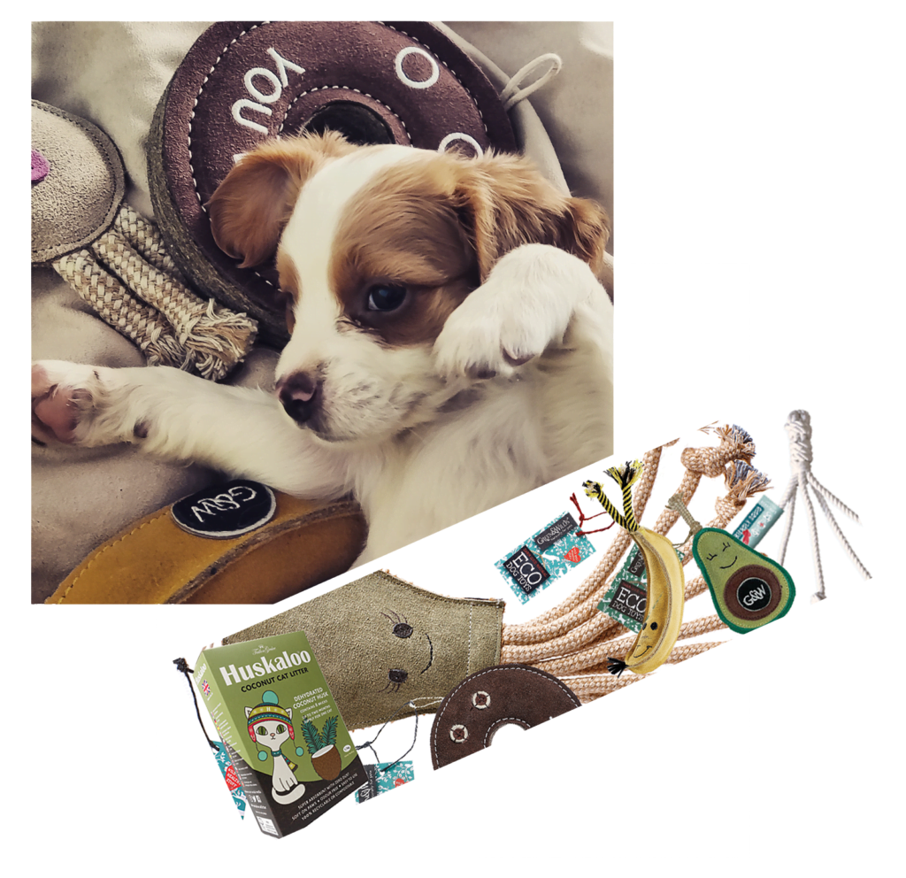 Wholesale Eco Friendly Pet Products